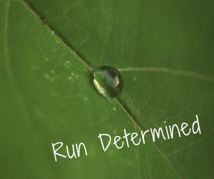 Run Determined